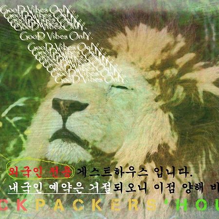 Backpackers' House Hotel Busan Ngoại thất bức ảnh